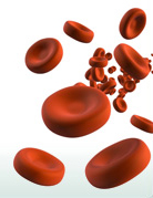 prélèvement sanguin hémoglobine 